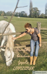 Hrvatska barokna ljepota - Lippizaner