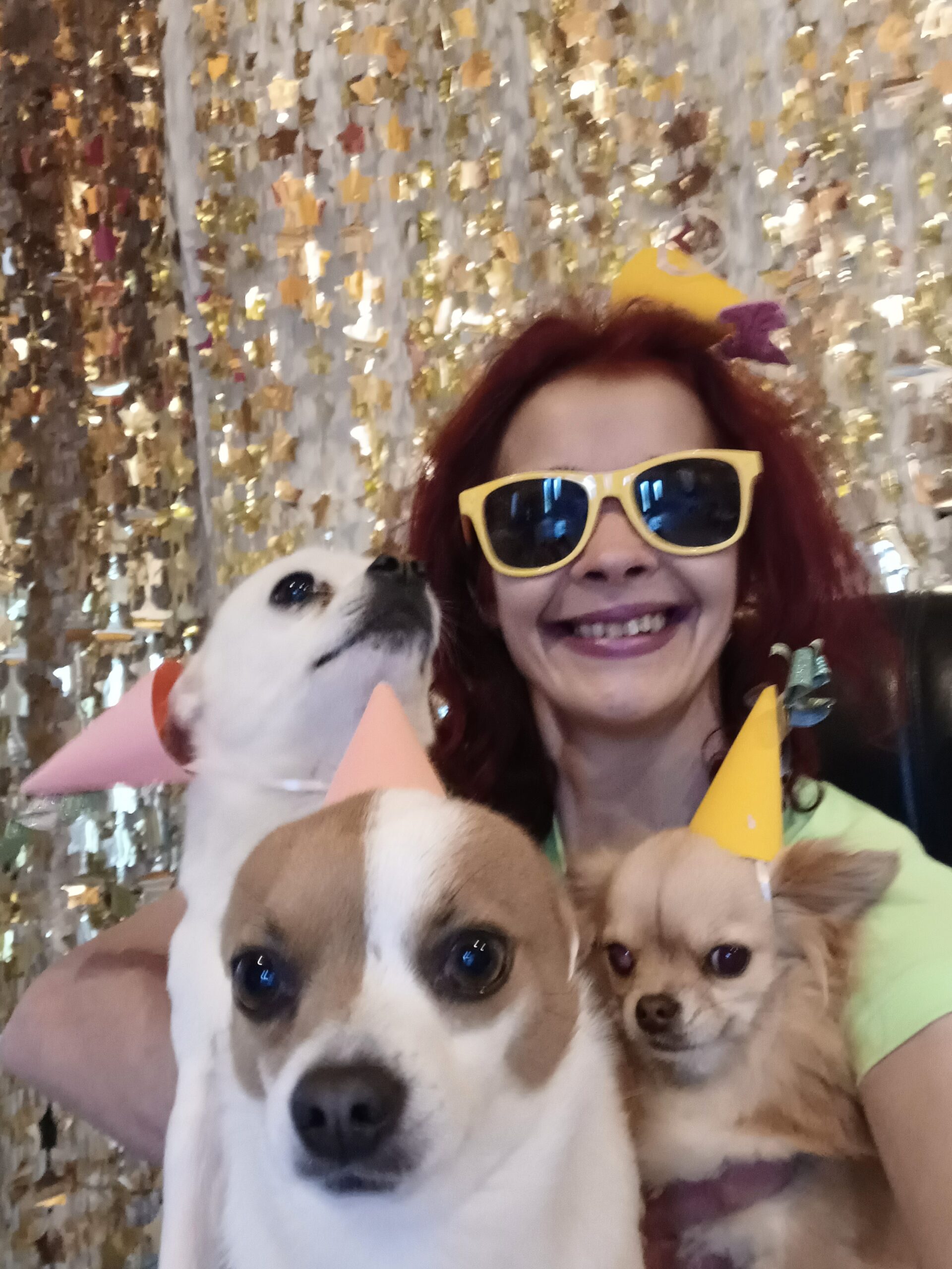 Egzotika okusa Ivy Poet